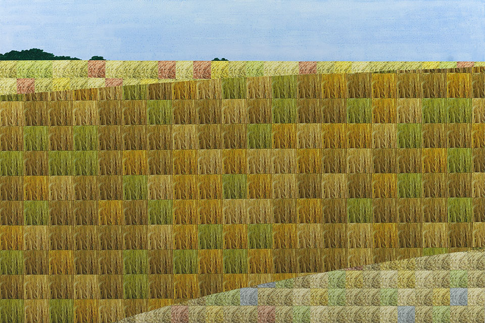 Crop Circle 麦田怪圈